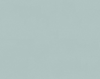[1001111117_12] Surestep Laguna - 181582 pale blue